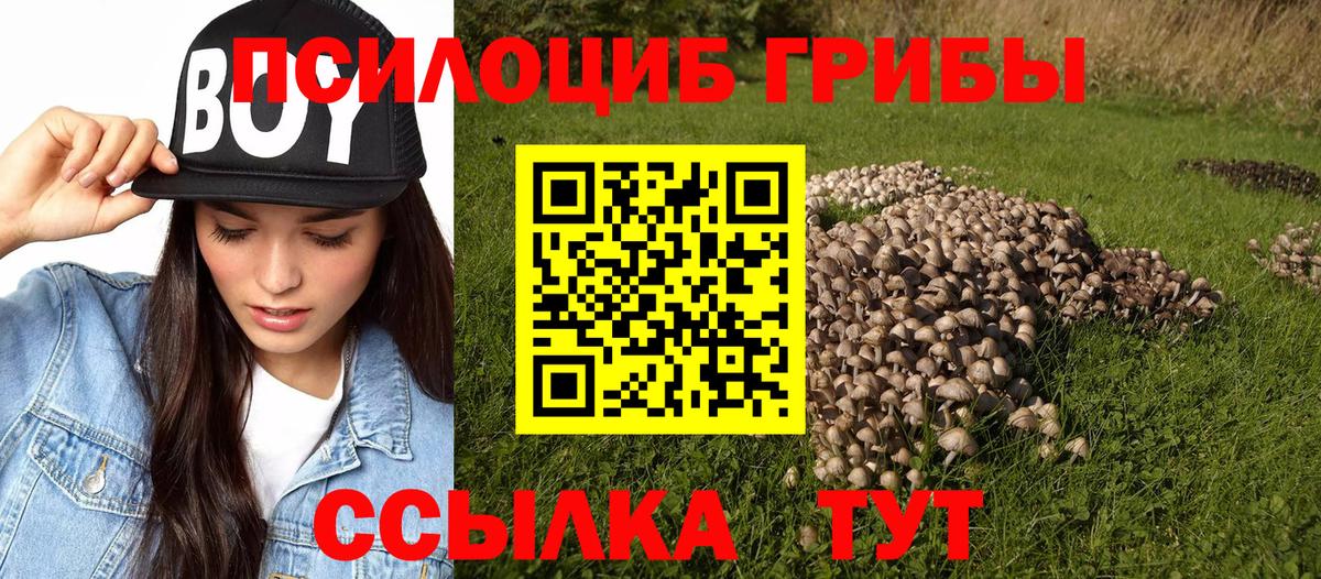 Галлюциногенные грибы мухоморы Новочеркасск
